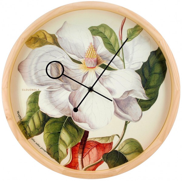 WANDUHR BOTANICAL MAGNOLIA